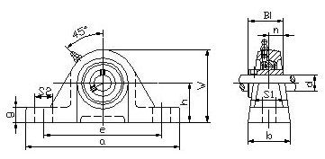 bearing insert