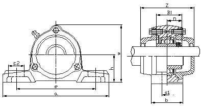 insert bearing